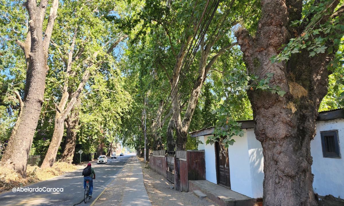 San Fernando:
Alcalde solicitó desalojo de feriantes de La Palma
