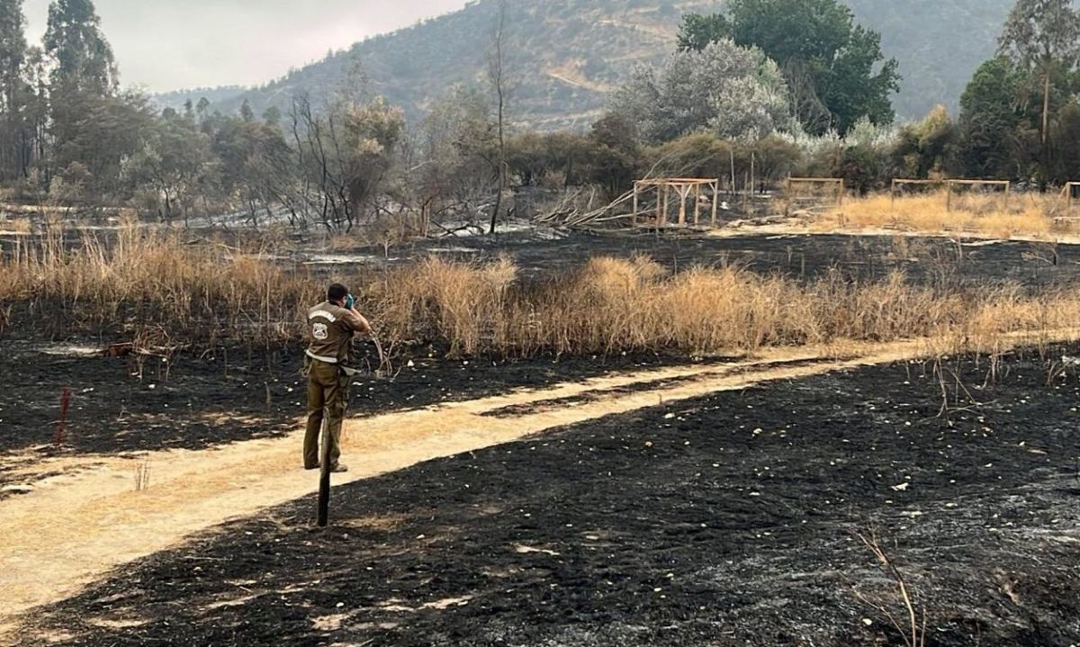 Sospechoso de iniciar incendio forestal en Las Cabras queda en prisión preventiva