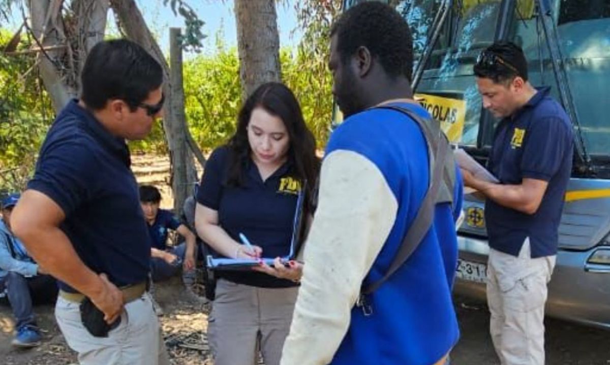 San Vicente: 15 extranjeros en situación migratoria irregular fueron denunciados por PDI