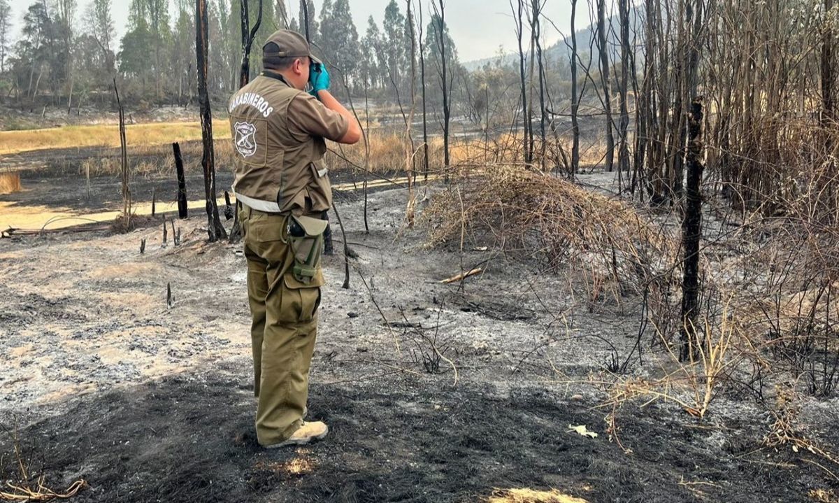 Delegado presidencial presenta querella contra sospechoso de haber iniciado incendio forestal en Las Cabras