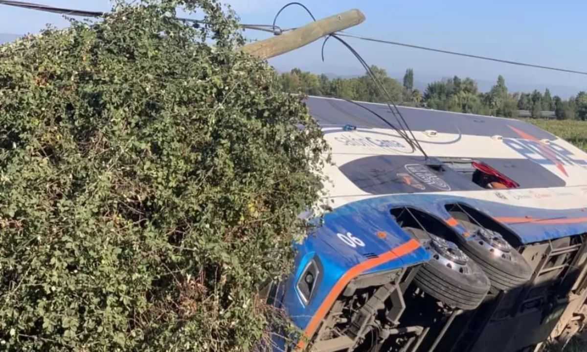 A un año del fatal volcamiento en Chimbarongo: Víctimas denuncian "abandono" de empresa Eme Bus