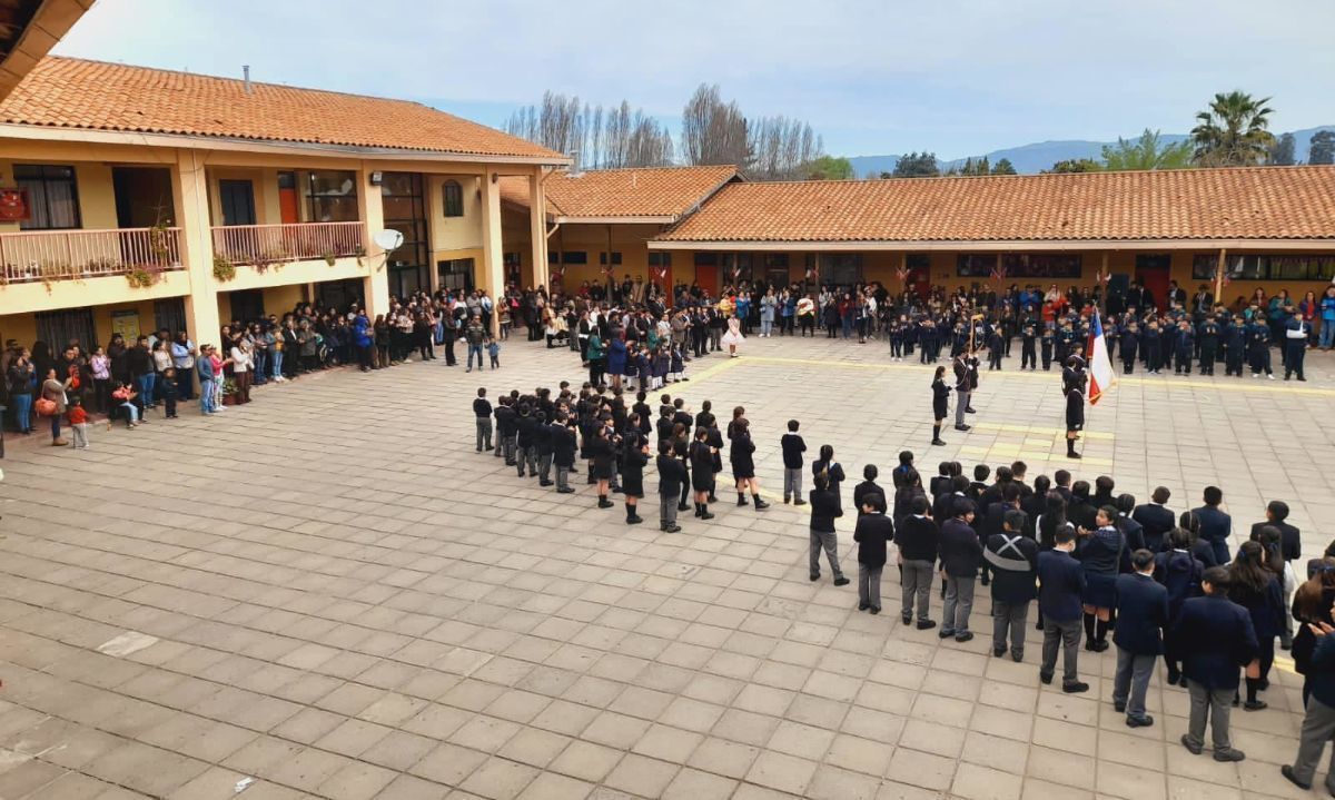 Suspenden clases en colegio de Palmilla por presencia de palomas en gimnasio