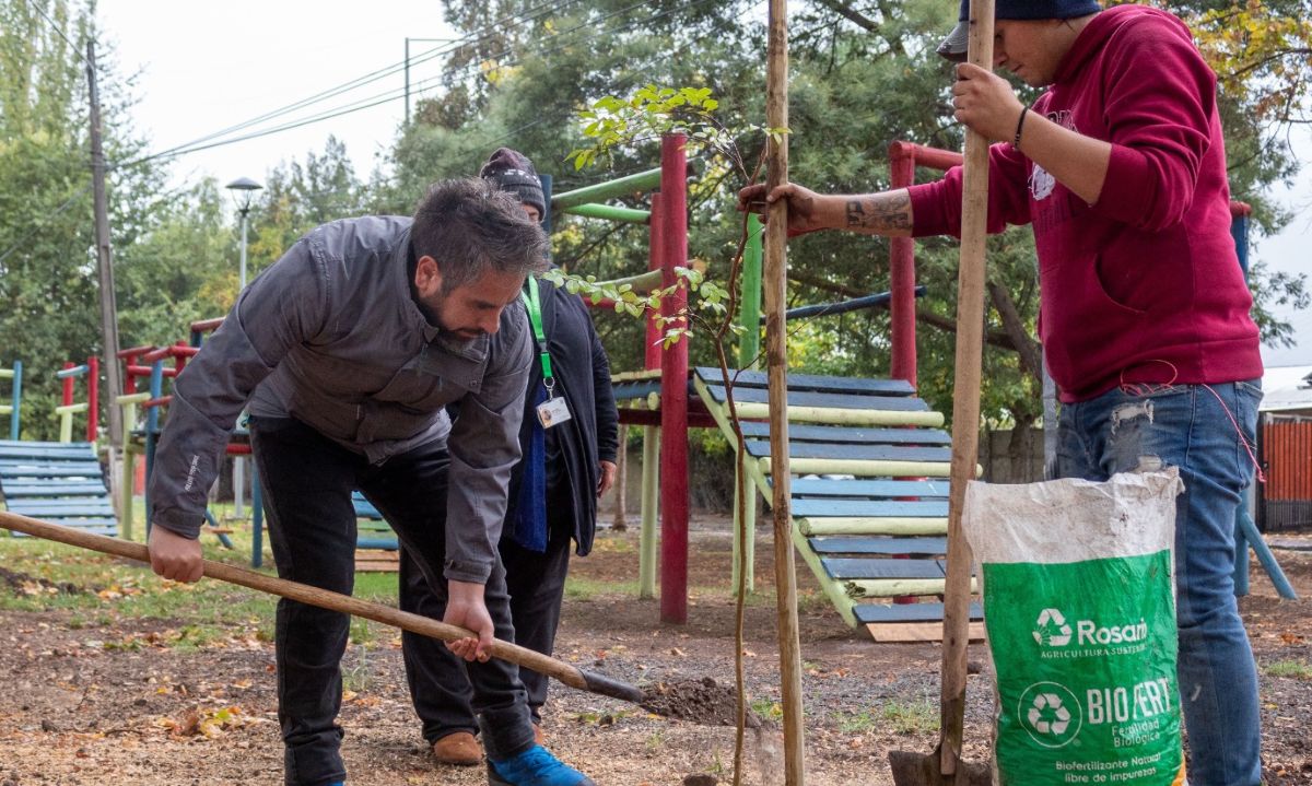 Día Mundial de la Tierra: Proyectan plantación de 300 árboles en Nancagua para el 2024