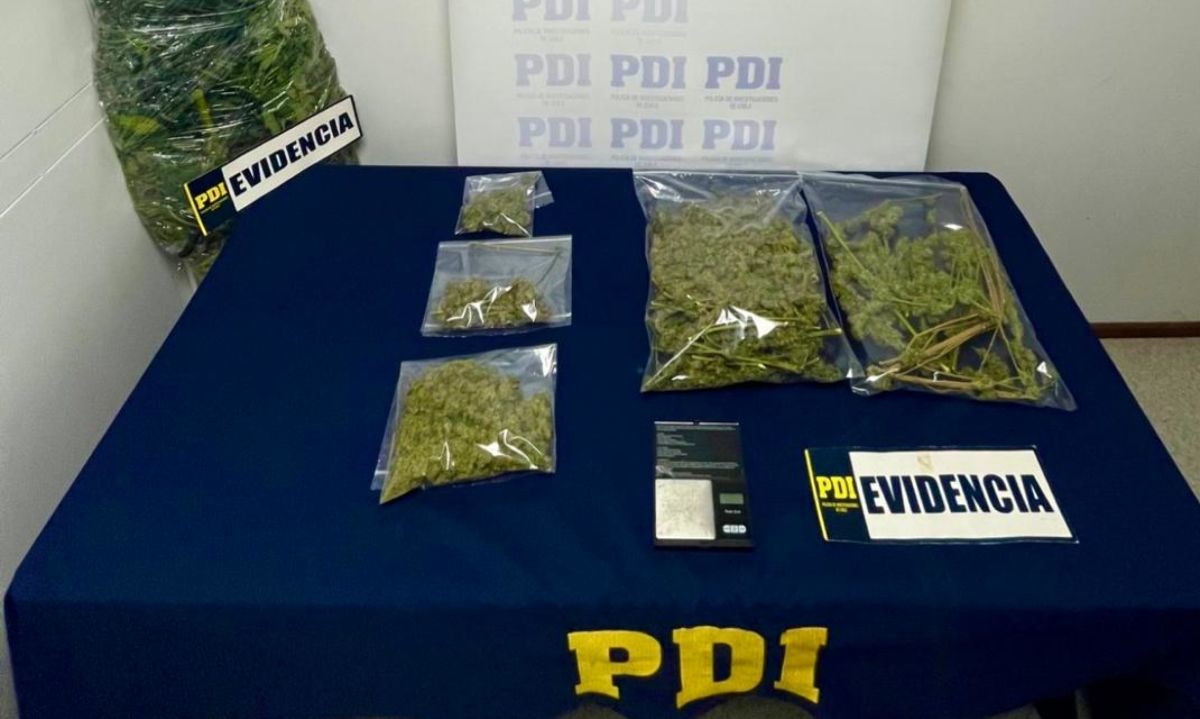 Litueche: PDI detuvo a hombre que tenía marihuana avaluada en 4.5 millones de pesos