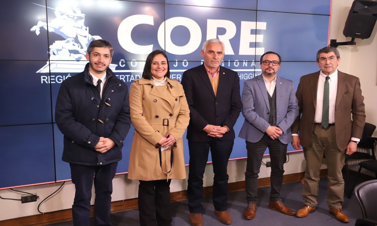 Consejo Regional:
UDI perdió consejero regional
