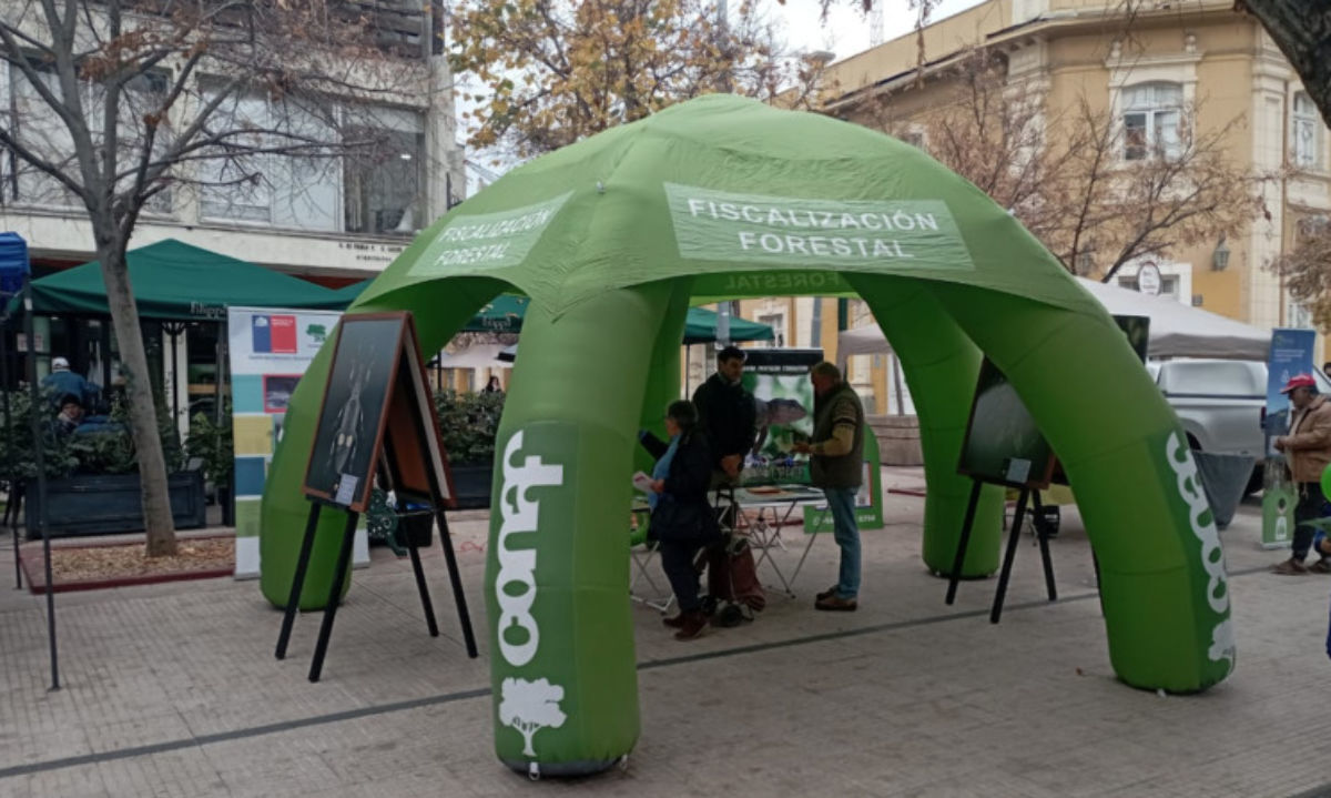 La fiscalización y el cuidado de los bosques es la base para la prevención de incendios