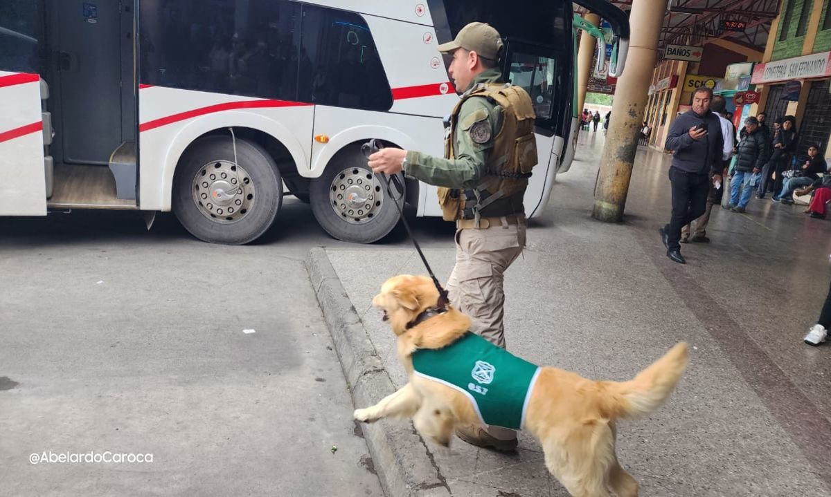 San Fernando:
Carabineros realizó operativo en Terminal de Buses
