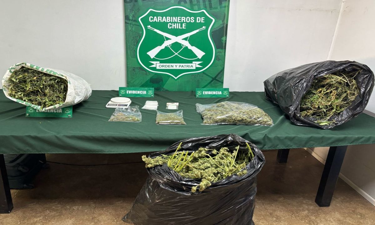 Carabineros decomisa 35 mil dosis de marihuana elaborada