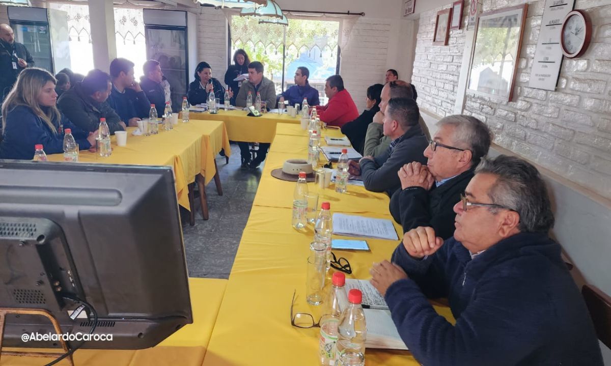 Paso Las Damas: 
Consejo Regional busca mejor conectividad
