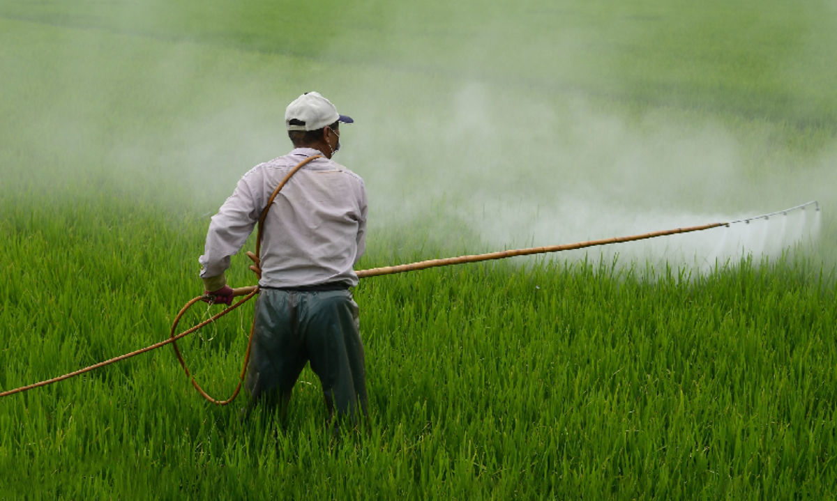 Investigan cómo los pesticidas aumentan el riesgo de Parkinson